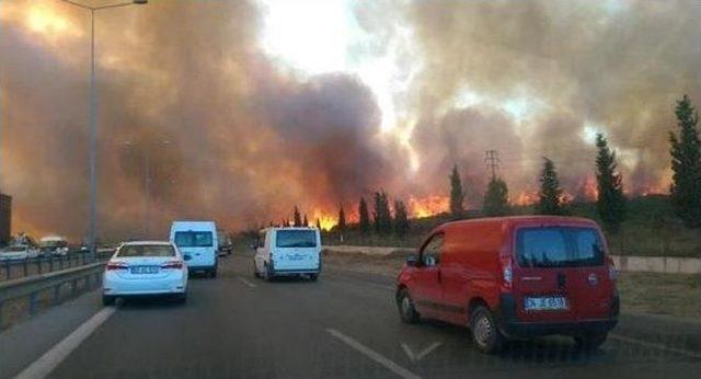 Tuzla’da Askeri Alanda Yangın