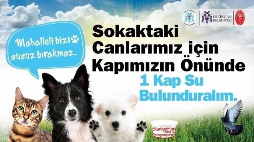 Sokaktaki Hayvanlar İ&ccedil;in Bir Kap Su!