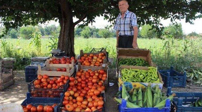 Zararına Da Olsa Hormonsuz Sebze &Uuml;retip Satıyor