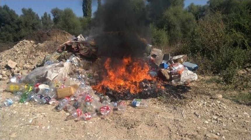 &Ccedil;&ouml;pl&uuml;ğe D&ouml;nd&uuml;