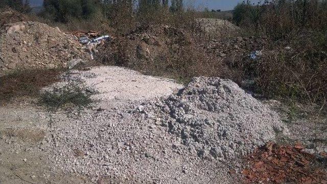 &Ccedil;&ouml;pl&uuml;ğe D&ouml;nd&uuml; 1