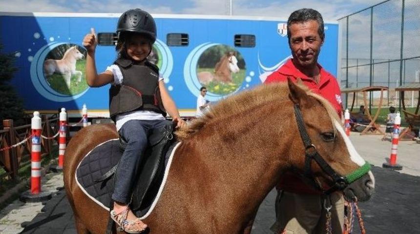 Pursaklar&rsquo;da &Ccedil;ocuklara Hayvan Sevgisi Aşılanıyor