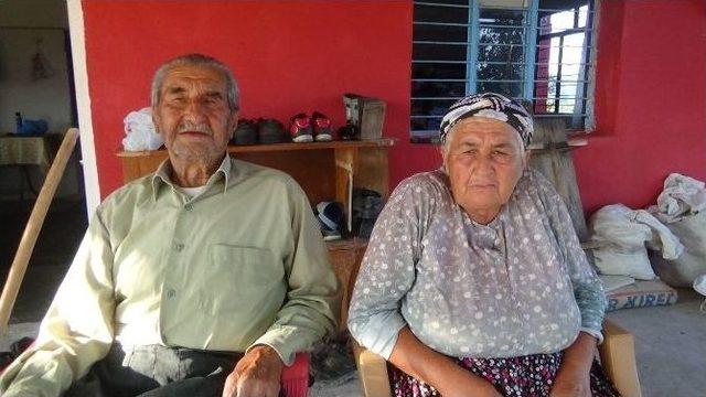 (özel Haber) 7 Karısı, 30 Çocuğu, 400 Torunu Var