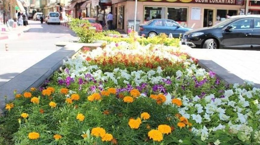 Sungurlu &Ccedil;i&ccedil;ek A&ccedil;tı