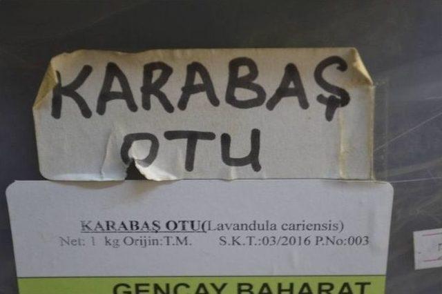 Doğal Şifa Kaynağı Karabaş Otu 1