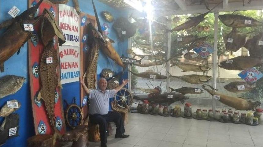 Mumya Balıklar Kışa Hazır