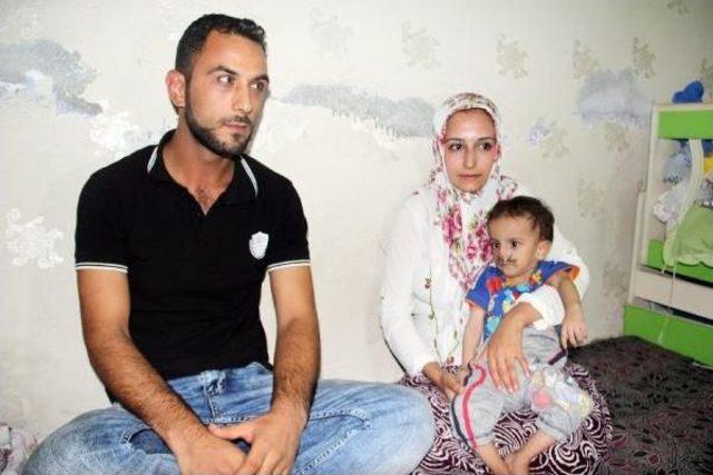 Beyin Felci Hastası Mehmet I&ccedil;in Ailesi Yardım Bekliyor 2