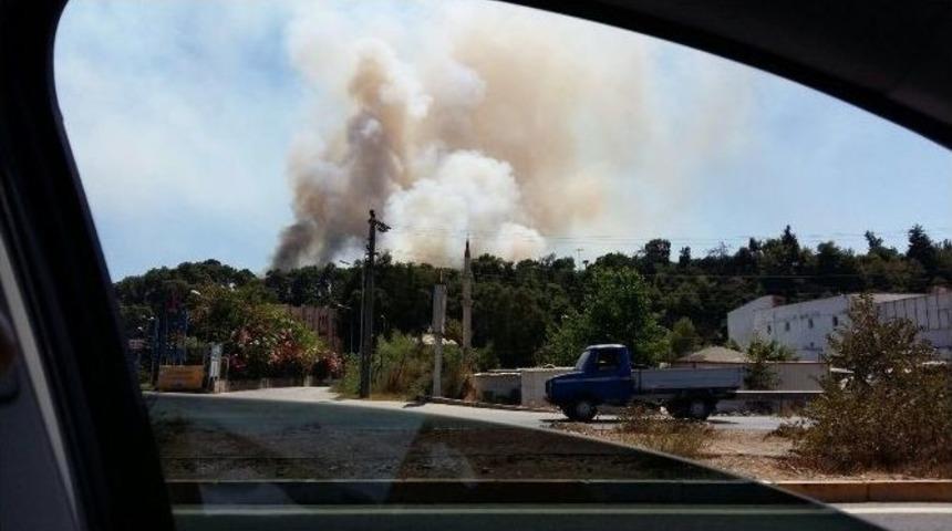 Antalya&rsquo;da Orman Yangını