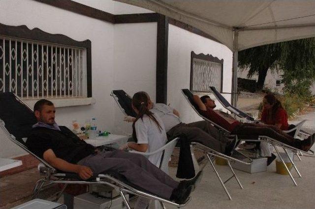 Küre’de Kan Bağışı Kampanyası Düzenlendi 1
