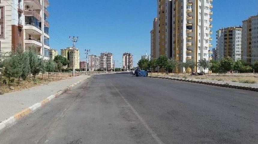 Diyarbakır&rsquo;da Hayat Durma Noktasına Geldi