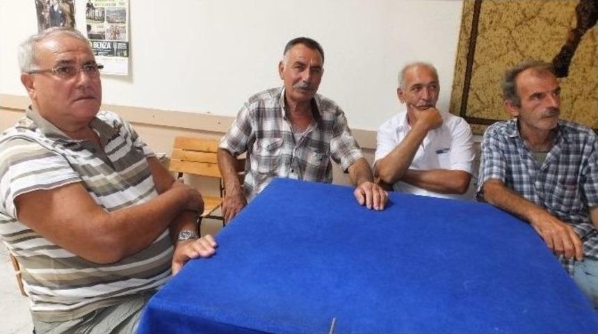 Deve G&uuml;reşi &Ouml;zlemini Kahvehanede Gideriyorlar