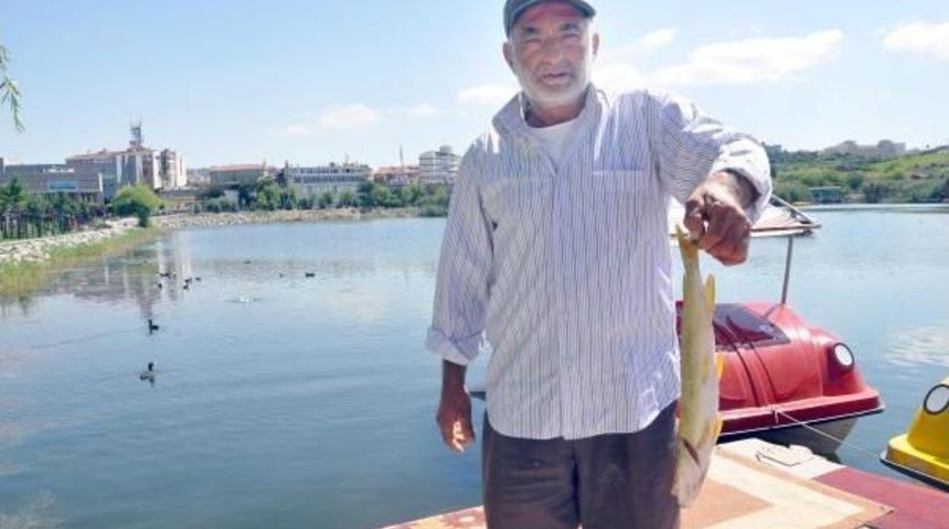 Mogan G&ouml;l&uuml;&rsquo;Nde Balık &Ouml;l&uuml;mleri