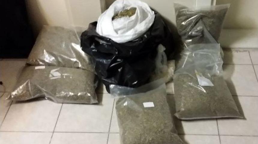 (özel Haber) Otomobilin Koltuk Döşemelerinin İçinden Bonzai Çıktı