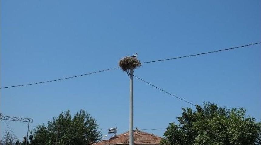 Uedaş&rsquo;tan Leyleklere &Ouml;zel Yuva