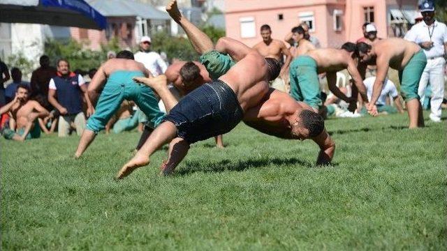 Karakucak Güreşleri Abanoz Yaylası’nda Başladı