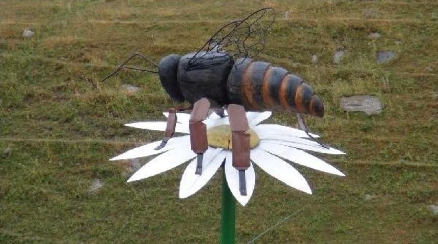 Arı Heykeli 5 Kilo Bal Verdi