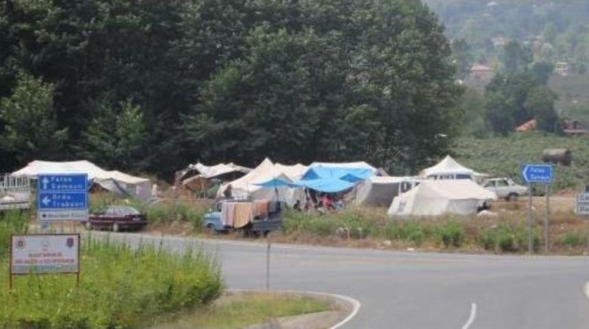 Ordu'ya 15 Bin Fındık Iş&ccedil;isi Geldi, Valilik &Ccedil;ocuk Iş&ccedil;iyi Yasakladı