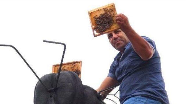 (Video) Huge Bee Statue Filled With Hives Gives Five Kilos Of Honey In Kars