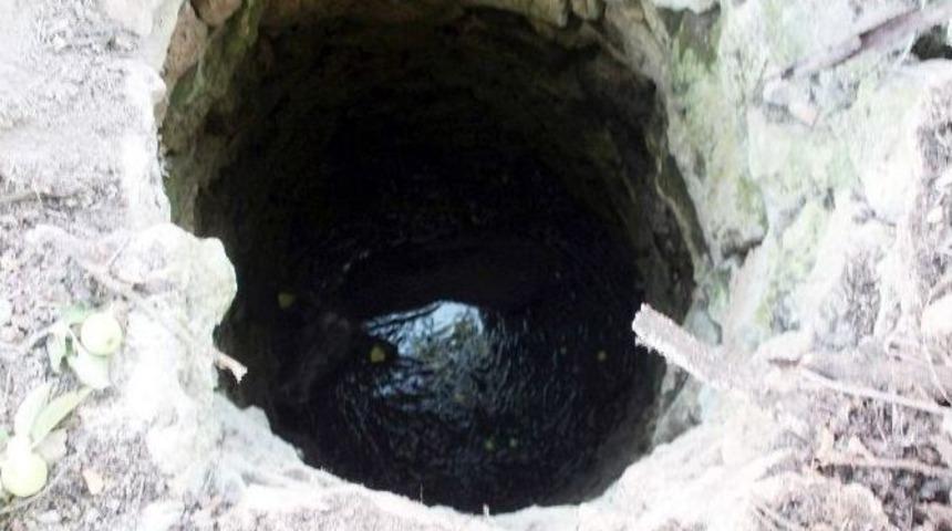 Su Kuyusuna D&uuml;şen İnek Vin&ccedil;le Kurtarıldı