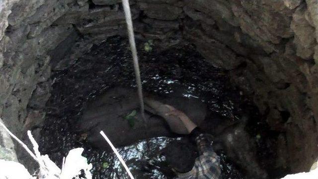 Su Kuyusuna D&uuml;şen İnek Vin&ccedil;le Kurtarıldı 2