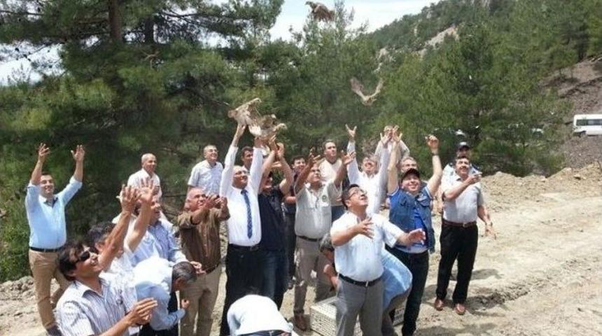 Feke&rsquo;de 500 Keklik Doğayla Buluştu