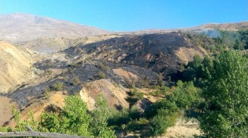 Sivrice&rsquo;de &Ccedil;ıkan Yangında 90 D&ouml;n&uuml;m Arazi Zarar G&ouml;rd&uuml;