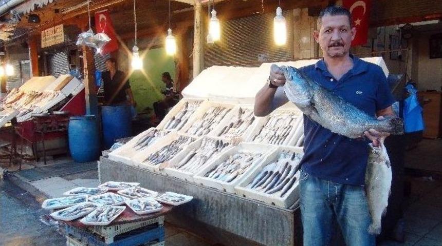 (&ouml;zel Haber) Mersin&rsquo;de Balık&ccedil;ılar 15 Eyl&uuml;l&rsquo;de &rsquo;vira Bismillah&rsquo; Diyecek