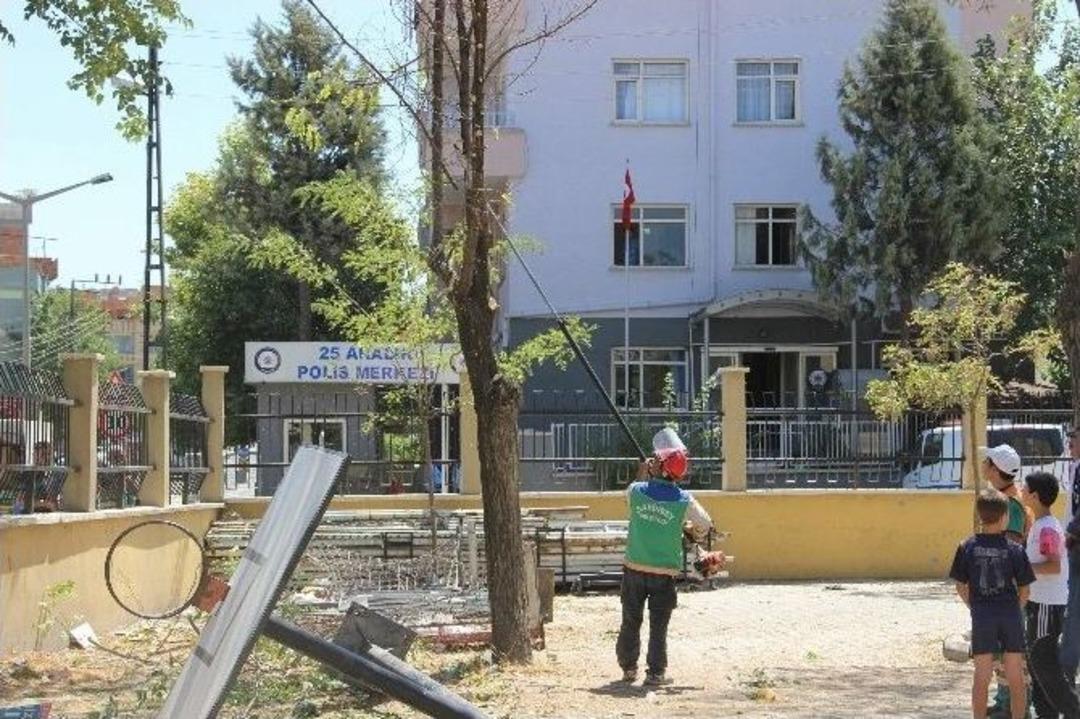 Pkk&rsquo;nın Saldırdığı Karakolun Etrafındaki Ağa&ccedil; Dalları Kesildi