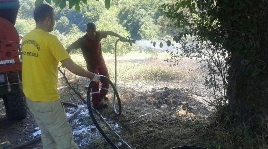 Alaplı&rsquo;da 2 D&ouml;n&uuml;m Fındık Tarlası Zarar G&ouml;rd&uuml;