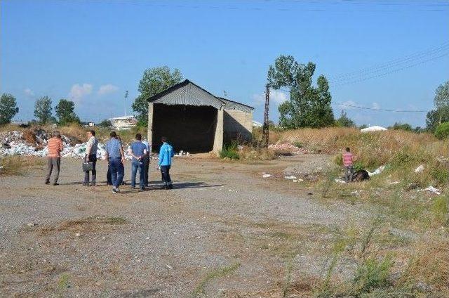 Kopan Elektrik Teline Takılan İnek Telef Oldu