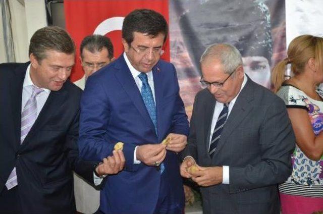 Zeybekci: Spekülatif Bant Kalkmaya Başlayacak