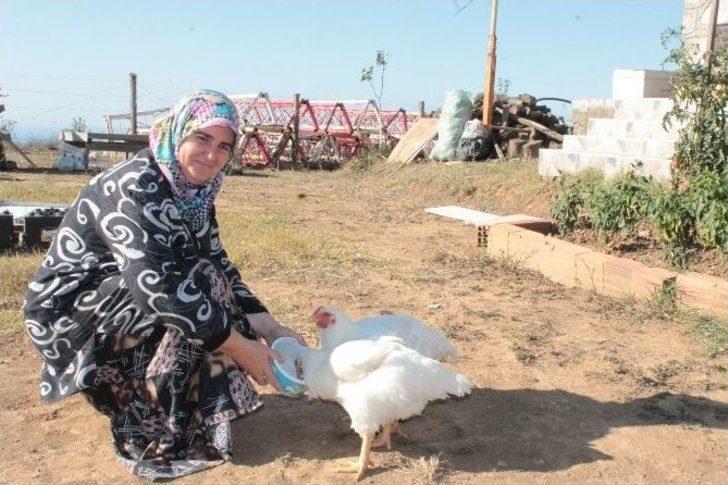 (özel Haber) 24 Saat Şahin Gibi Ormanı Gözetliyorlar G3