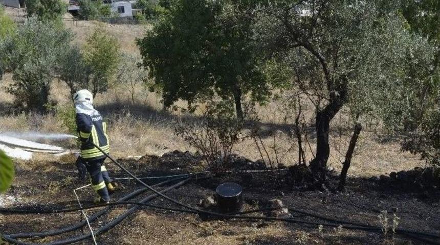 Seydikemer&rsquo;de Alevler Yerleşim Alanına Dayandı
