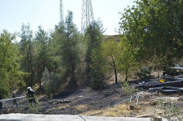 Seydikemer&rsquo;de Alevler Yerleşim Alanına Dayandı 2