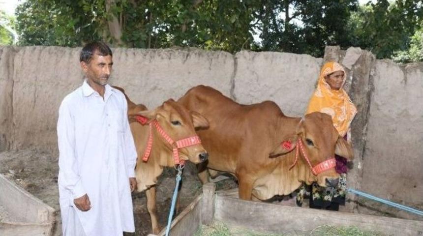 Tika&rsquo;nın Desteğiyle Pakistan&rsquo;da Evde S&uuml;t &Uuml;retimi Teşvik Ediliyor