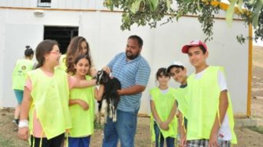 Yeni D&ouml;nemde Eğlenceli At&ouml;lyeler &Ccedil;ocukları Bekliyor