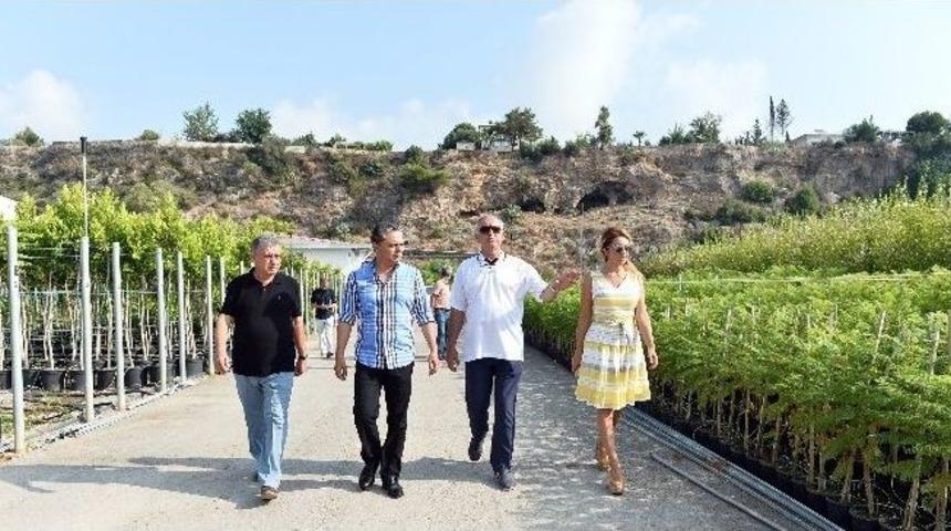 Muratpaşa Belediyesi Bitki &Uuml;retim Tesislerini 5 Kat B&uuml;y&uuml;t&uuml;yor