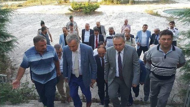 D&uuml;zce İstanbul&rsquo;un Oksijen &Ccedil;adırı 1