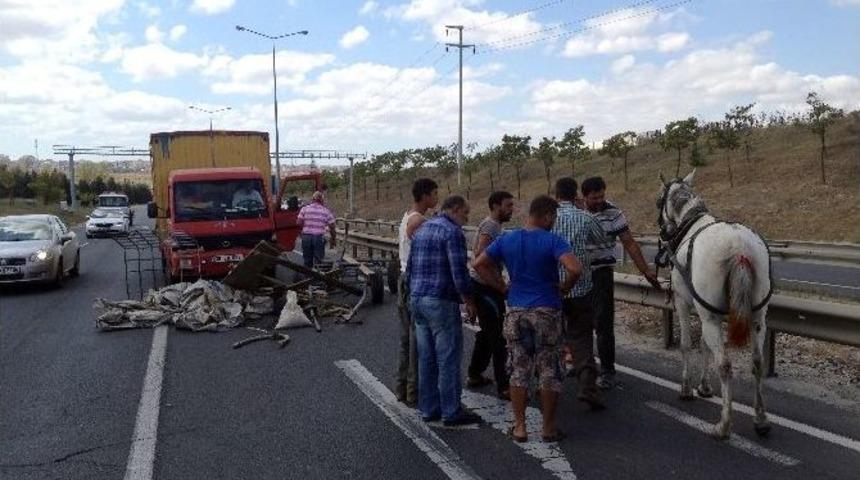 Kendi Canından &Ccedil;ok Atına &Uuml;z&uuml;ld&uuml;