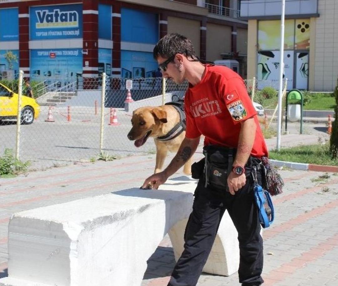 Akut&rsquo;un G&ouml;zbebeği Yeterlilik Sınavını Bekliyor