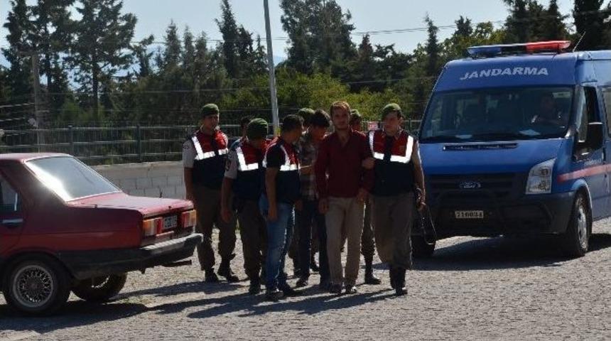 Balıkesir&rsquo;de B&uuml;y&uuml;kbaş Hayvan Hırsızları Yakalandı