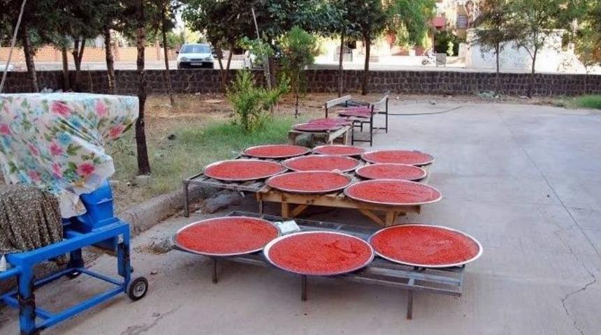 Siverekli Kadınların Kış Telaşı Başladı