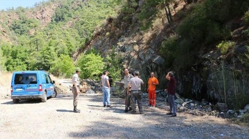 Ormanda Ateş Yakan Şahıs G&ouml;zaltına Alındı