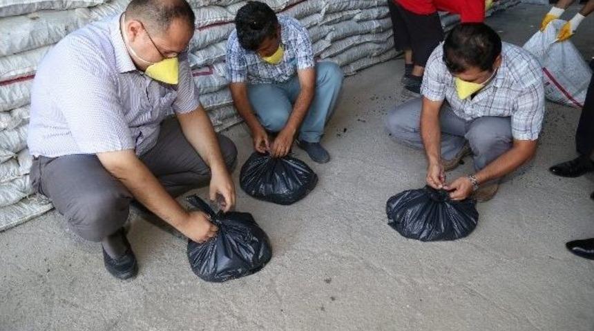 Denizli&rsquo;de K&ouml;m&uuml;r Denetimleri Başladı