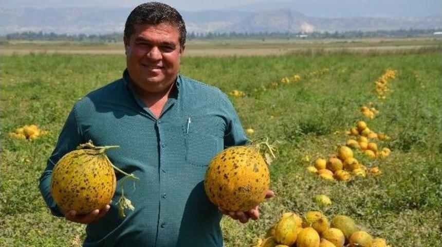Kara&ccedil;al Barajı İle &lsquo;sulu Tarım&rsquo; D&ouml;nemi