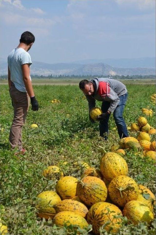 Karaçal Barajı İle ‘sulu Tarım’ Dönemi