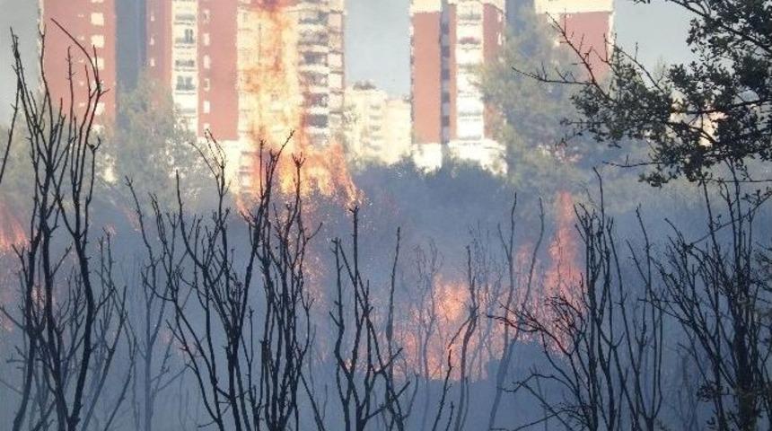 Antalya&rsquo;da Orman Yangını (1)