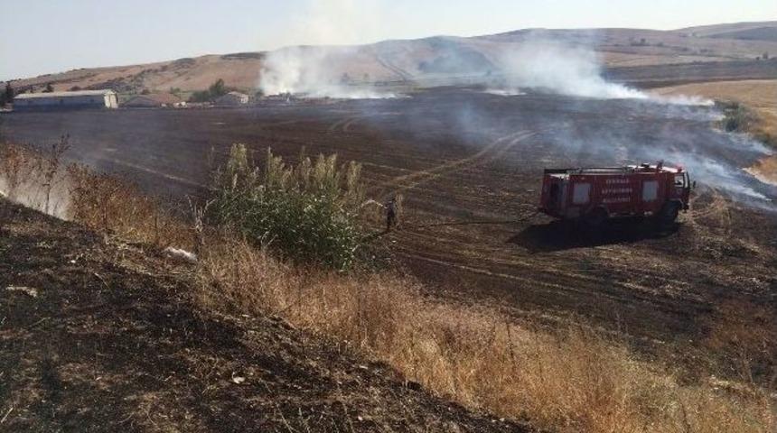 Anız Yangını Ay&ccedil;i&ccedil;eği Tarlalarını Tehdit Etti