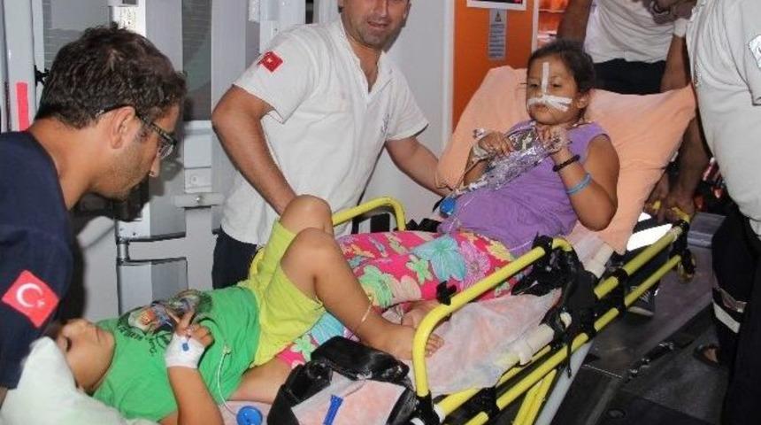 &Ccedil;i&ccedil;ek Tohumu 12 &Ccedil;ocuğu Zehirledi