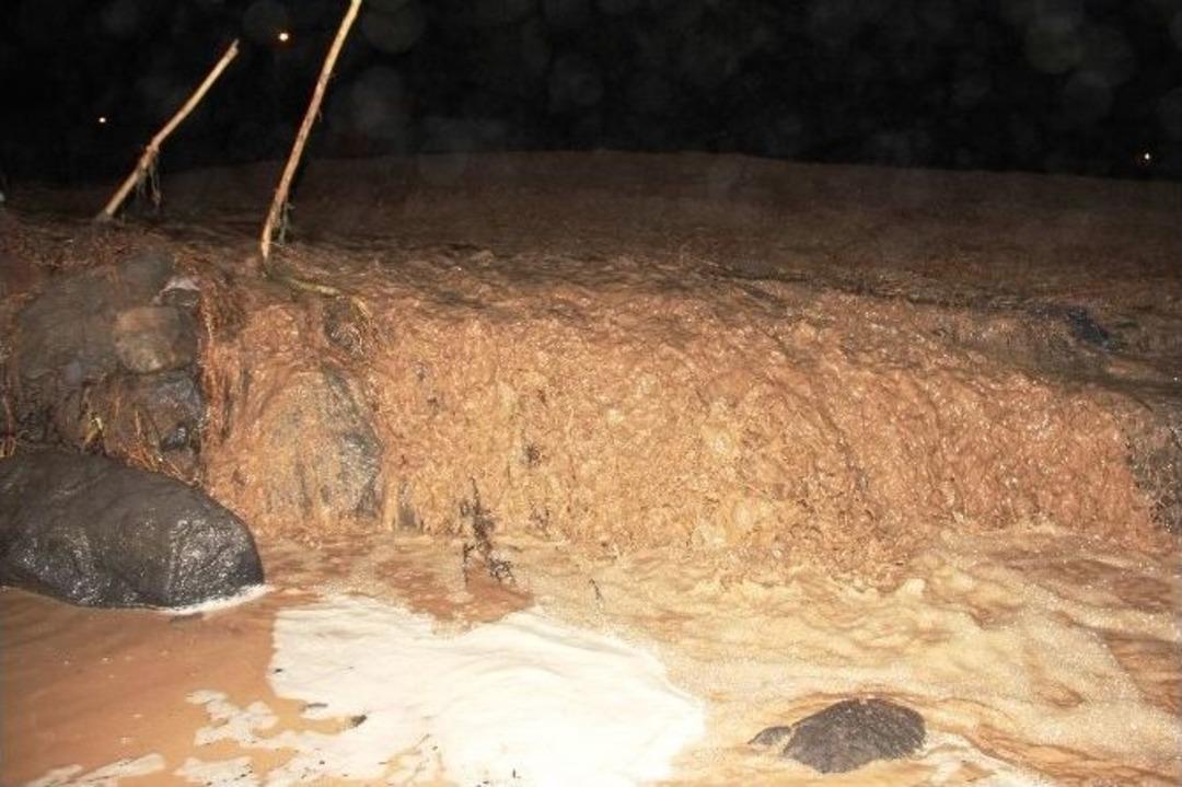 Iğdır&rsquo;da Selde 3 Bini Aşkın Koyun Telef Oldu